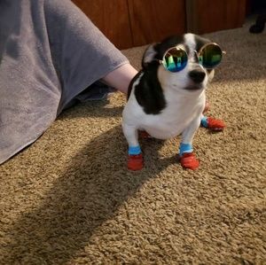 Meet your Posher, Tammy